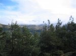 IMG_8365.JPG