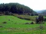 DSCN8475.jpg
