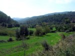 DSCN8476.jpg