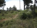 P5020062 (Medium).JPG