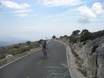 morron2010 043.jpg