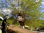 01052010404.jpg