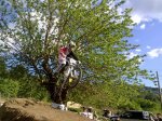 01052010401.jpg