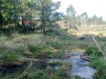 28042010323.jpg