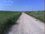 DSC00208.jpg