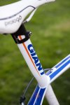 Giant05.jpg