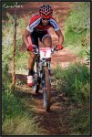 IMG_9318-copia.jpg