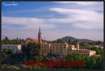 IMG_9314-copia.jpg