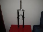 DSC00223.jpg