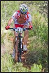 IMG_9368-copia.jpg