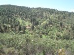 PAISAJE2.jpg