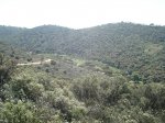 PAISAJE.jpg
