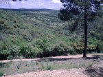 vistas4.jpg