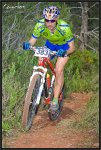 IMG_9535-copia.jpg