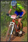 IMG_9519-copia.jpg
