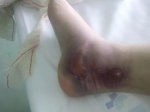 Foto0132.jpg