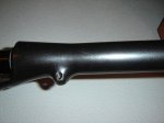 DSC00244.jpg