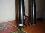 DSC00243.jpg
