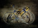 fondo-specialized-festina.jpg