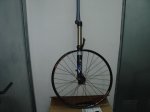 DSC00955.jpg