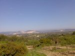 Imagen006.jpg