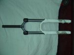 DSC02412.jpg