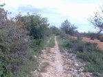 Imagen014.jpg