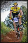IMG_9483-copia.jpg