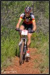 IMG_9506-copia.jpg
