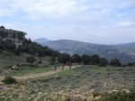 CIMG0737.JPG
