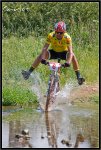 IMG_9559-copia.jpg