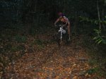 IMG_3498.jpg