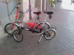 IMAG0010.jpg