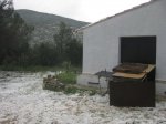 Photo201.JPG