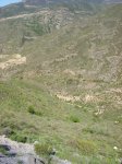 DSCN2216.jpg