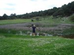 DSC00214.jpg