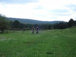 DSC00225.jpg