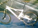 Imagen0367.jpg
