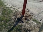 05052010185.jpg