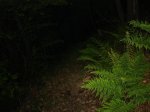 DSC05984.jpg