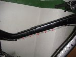 DSC03795.jpg
