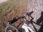 IMAG0483.jpg