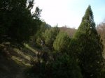 DSCN2850.JPG