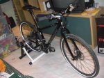 rc50potrotortura (Medium).JPG