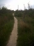 IMG00041-20100507-1715.jpg