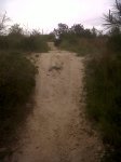 IMG00039-20100507-1712.jpg