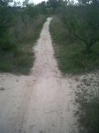 IMG00040-20100507-1713.jpg