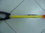 DSC03885.JPG