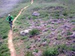 08052010_049.jpg