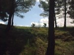 08052010_034.jpg